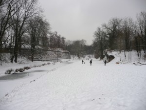 Neige à Lille 41