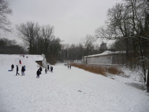 Neige à Lille 42