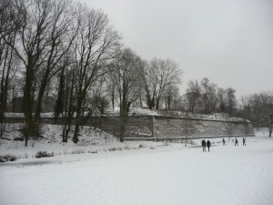 Neige à Lille 43