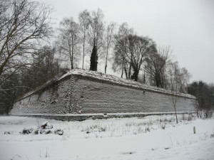Neige à Lille 44