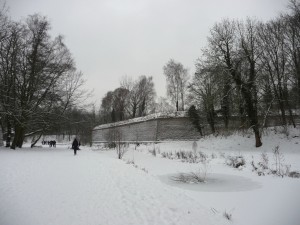 Neige à Lille 45
