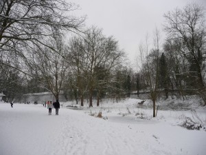 Neige à Lille 46