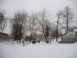 Neige à Lille 47