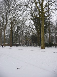 Neige à Lille 49
