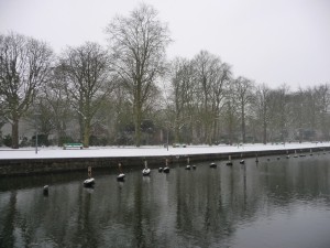 Neige à Lille 50