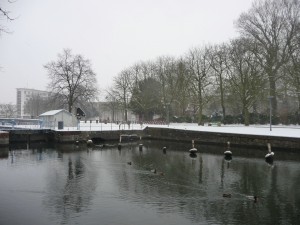 Neige à Lille 51