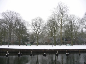 Neige à Lille 52