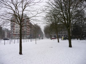 Neige à Lille 54