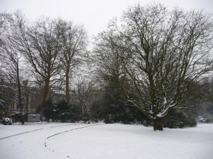 Neige à Lille 55