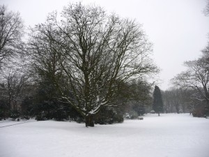 Neige à Lille 56