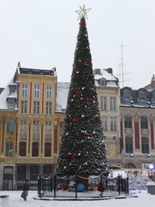 Neige à Lille 256