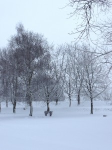 Neige à Lille 273