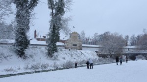 Neige à Lille 276