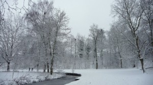 Neige à Lille 277
