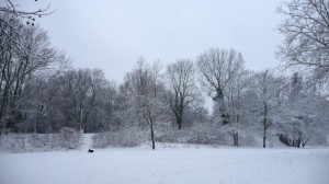 Neige à Lille 278