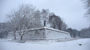 Neige à Lille 279