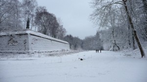 Neige à Lille 280