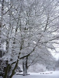 Neige à Lille 283