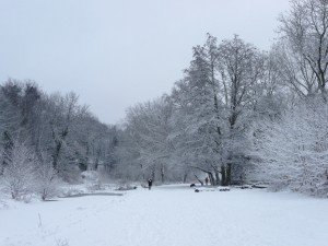 Neige à Lille 284