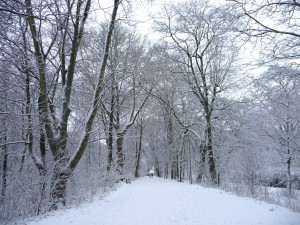Neige à Lille 285