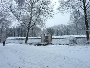 Neige à Lille 286