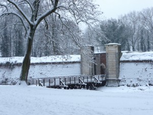 Neige à Lille 287