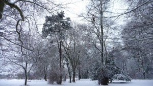 Neige à Lille 288