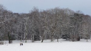 Neige à Lille 289