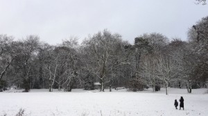 Neige à Lille 290