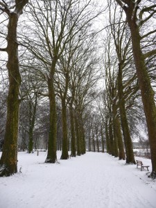 Neige à Lille 291