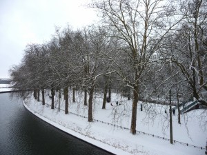 Neige à Lille 296
