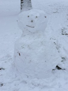 Neige à Lille 298