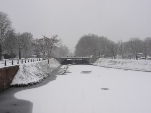 Neige à Lille 299