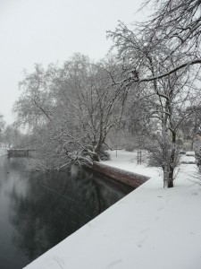 Neige à Lille 301