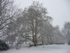 Neige à Lille 302