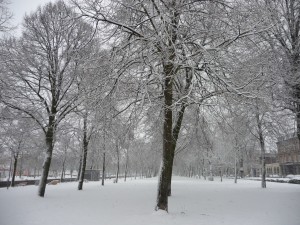 Neige à Lille 303