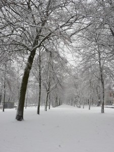 Neige à Lille 304