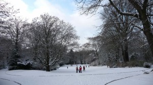 Neige à Lille 305