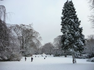 Neige à Lille 306