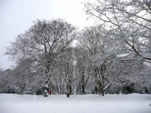 Neige à Lille 308