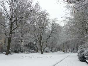 Neige à Lille 316