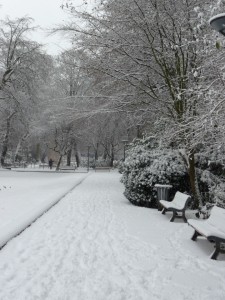 Neige à Lille 317