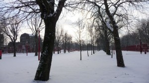 Neige à Lille 319