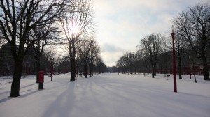Neige à Lille 320