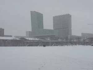 Neige à Lille 324