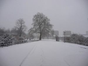 Neige à Lille 327
