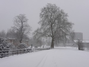 Neige à Lille 328