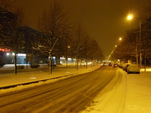 Neige à Lille 207