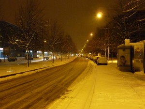 Neige à Lille 208