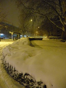 Neige à Lille 213
